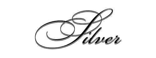 Silver Logo