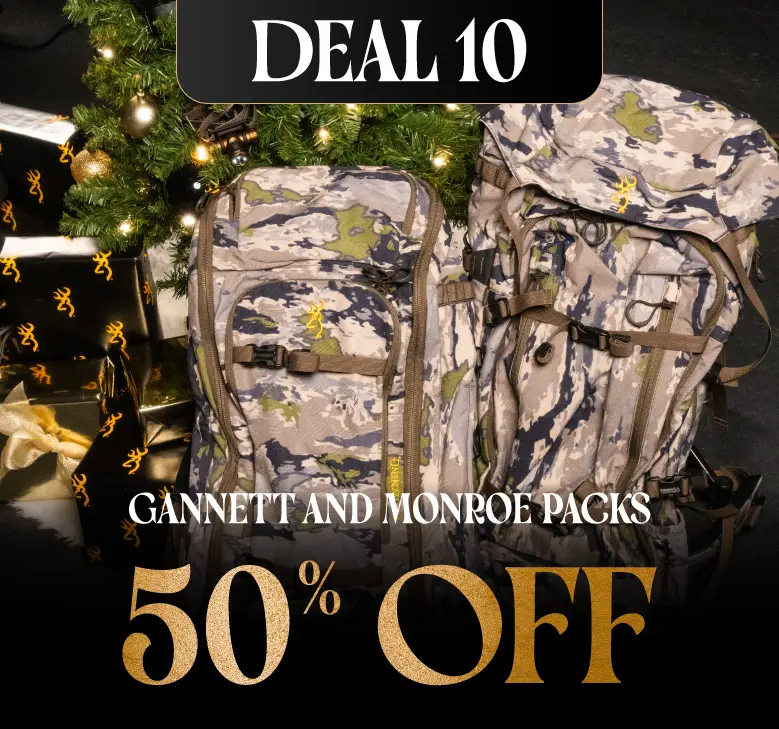 50% off Gannett and Monroe