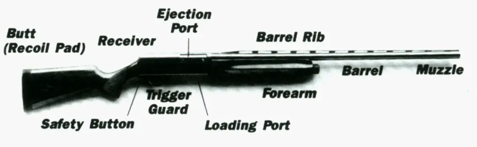 Figure 1-A 