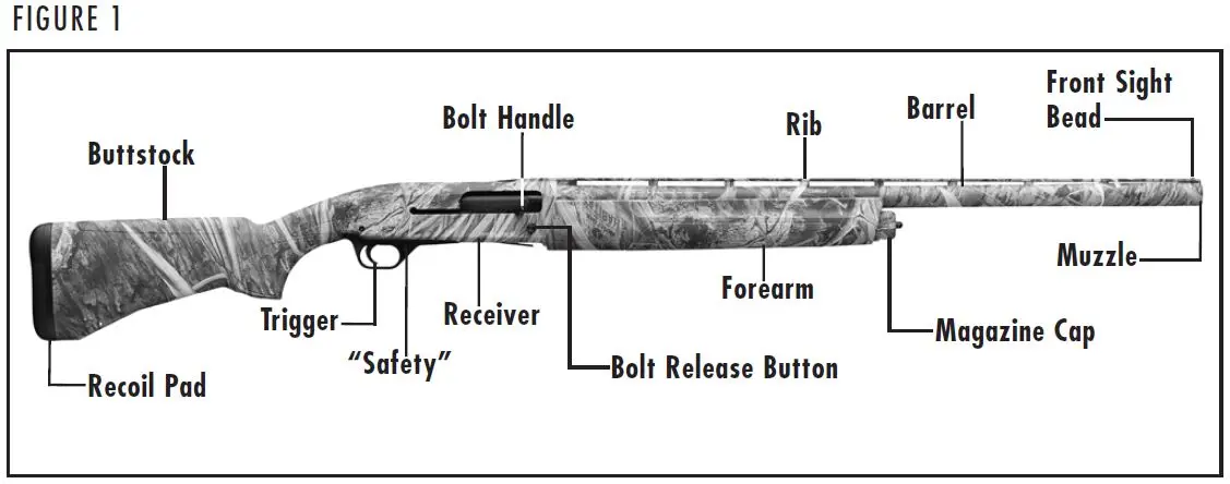 Gold Light 10 Shotgun Diagram Figure 1