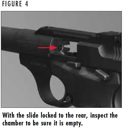 Buckmark Chamber Figure 4