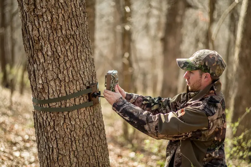 Trail Camera Tree Mount