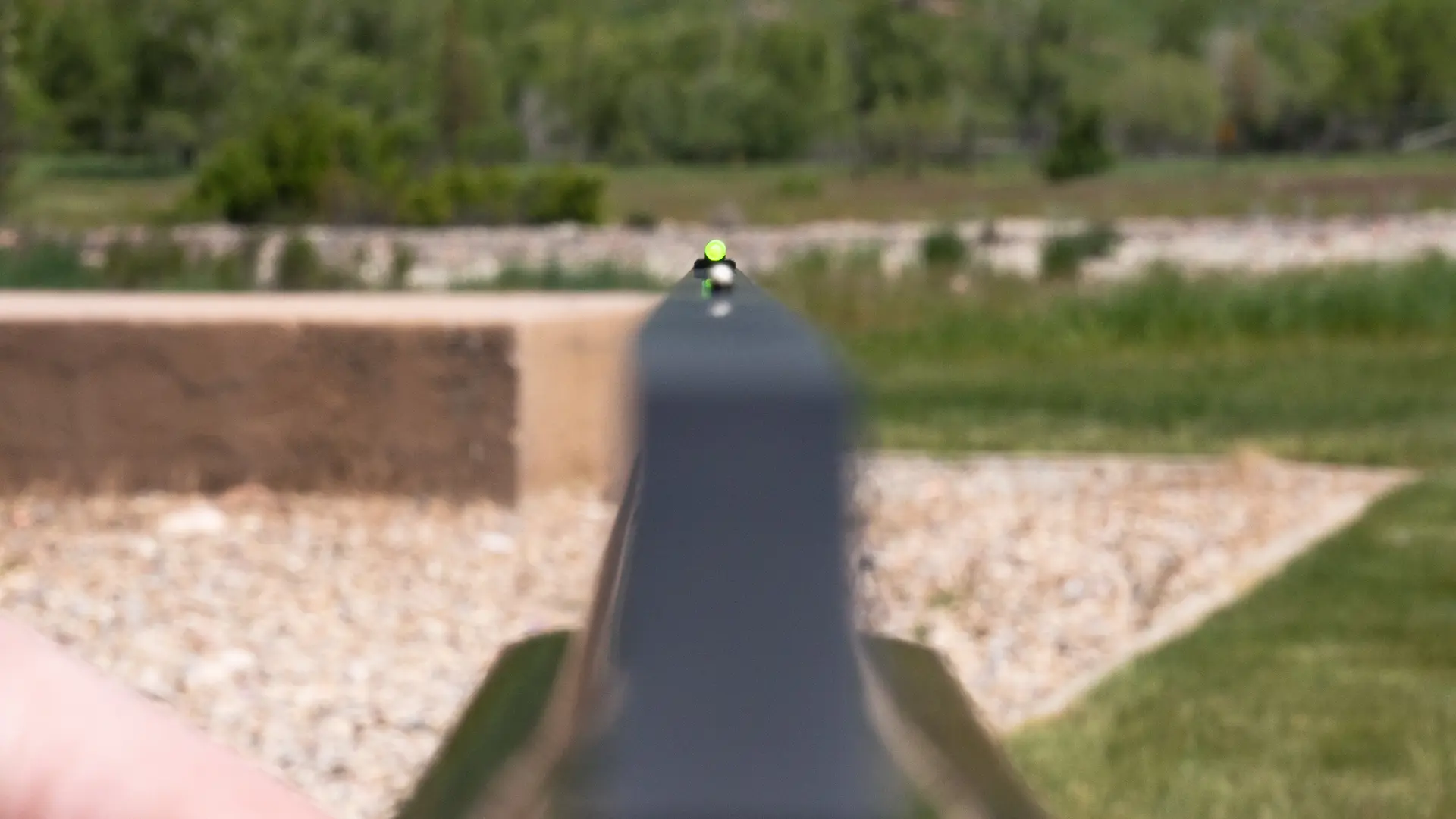 Shotgun Sights