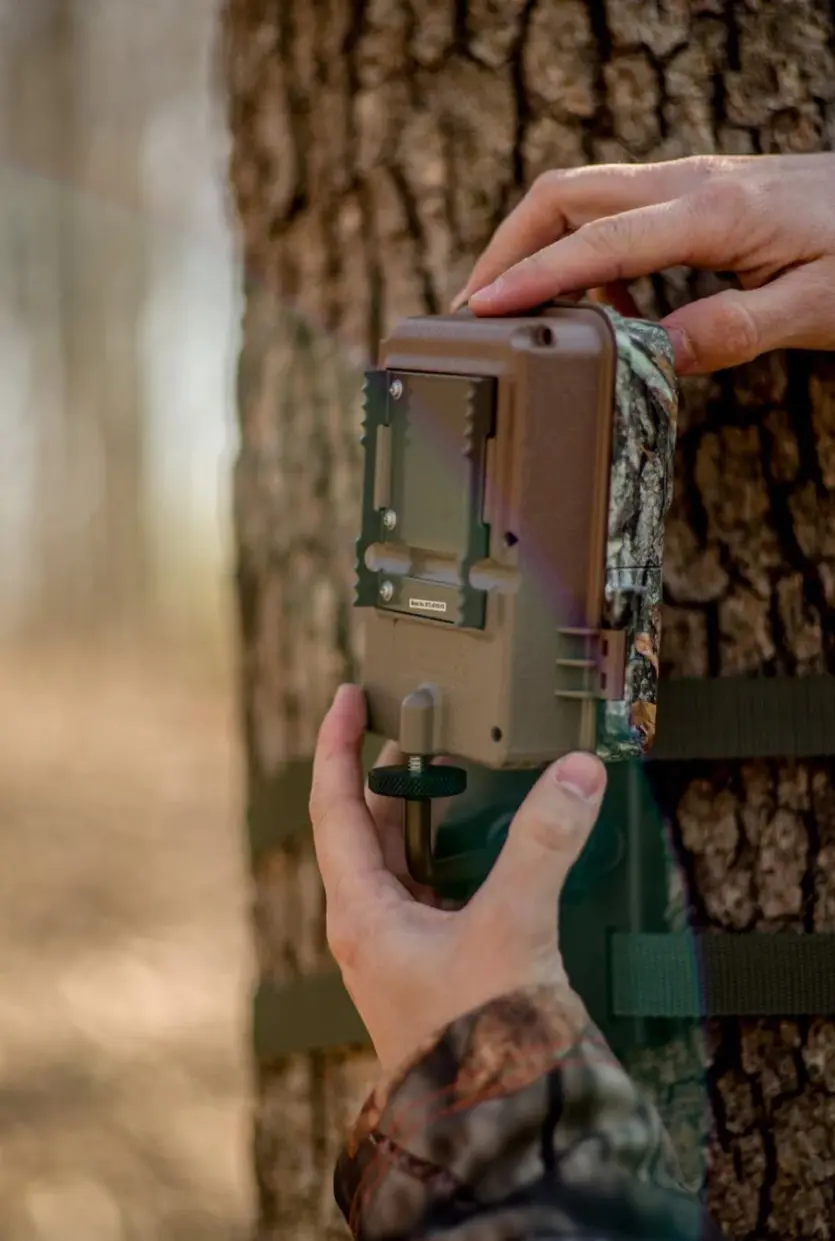 Trail Camera Tree Mount