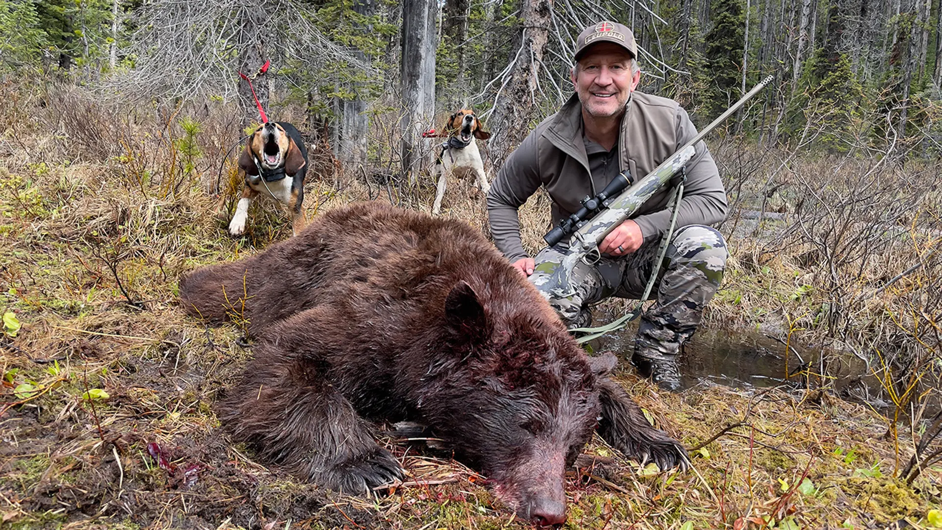 Hunters skinning a bear