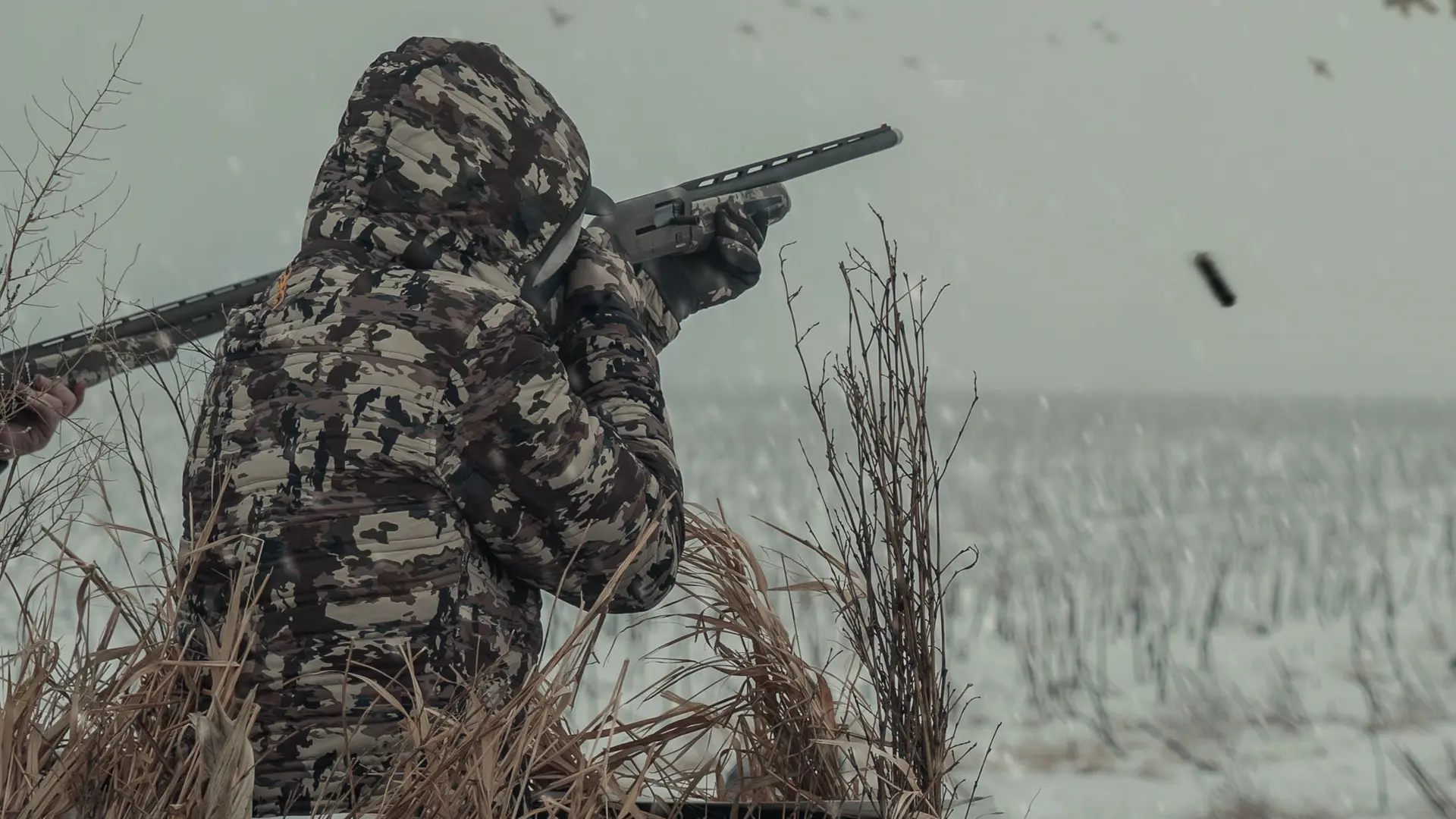 Hunters shooting Browning Shotgun from Blind