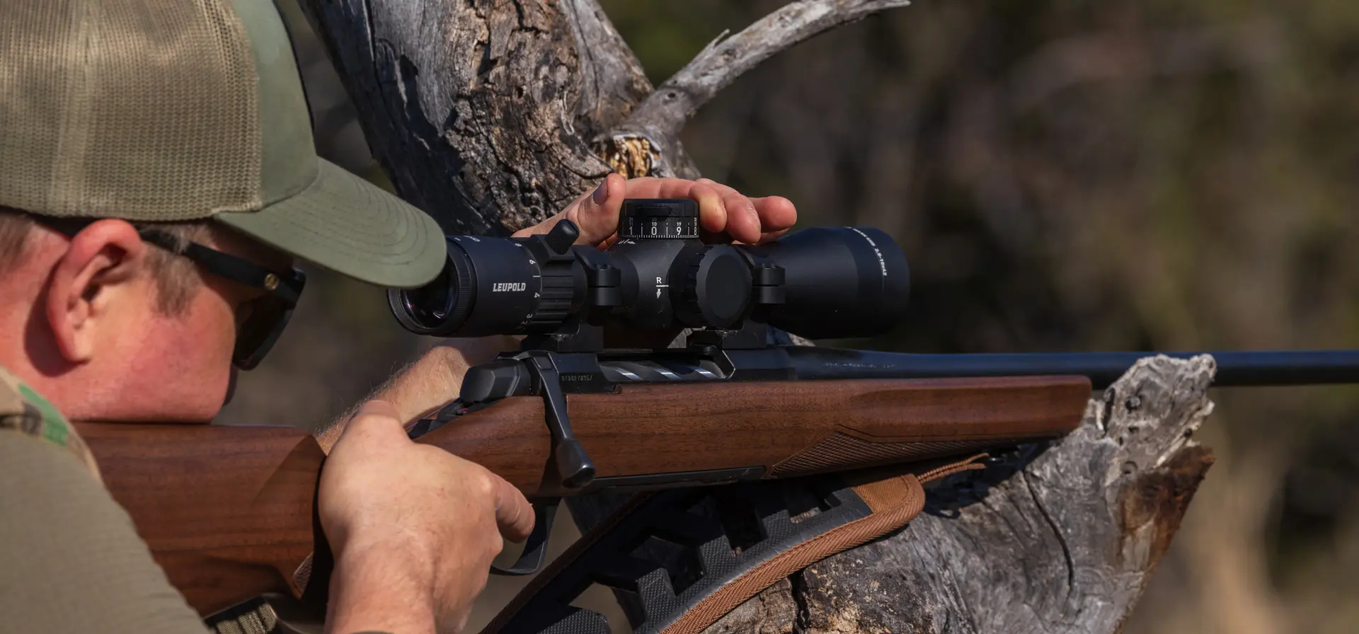 Rifle on a tree branch