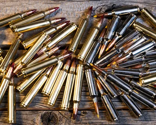 rifle rounds