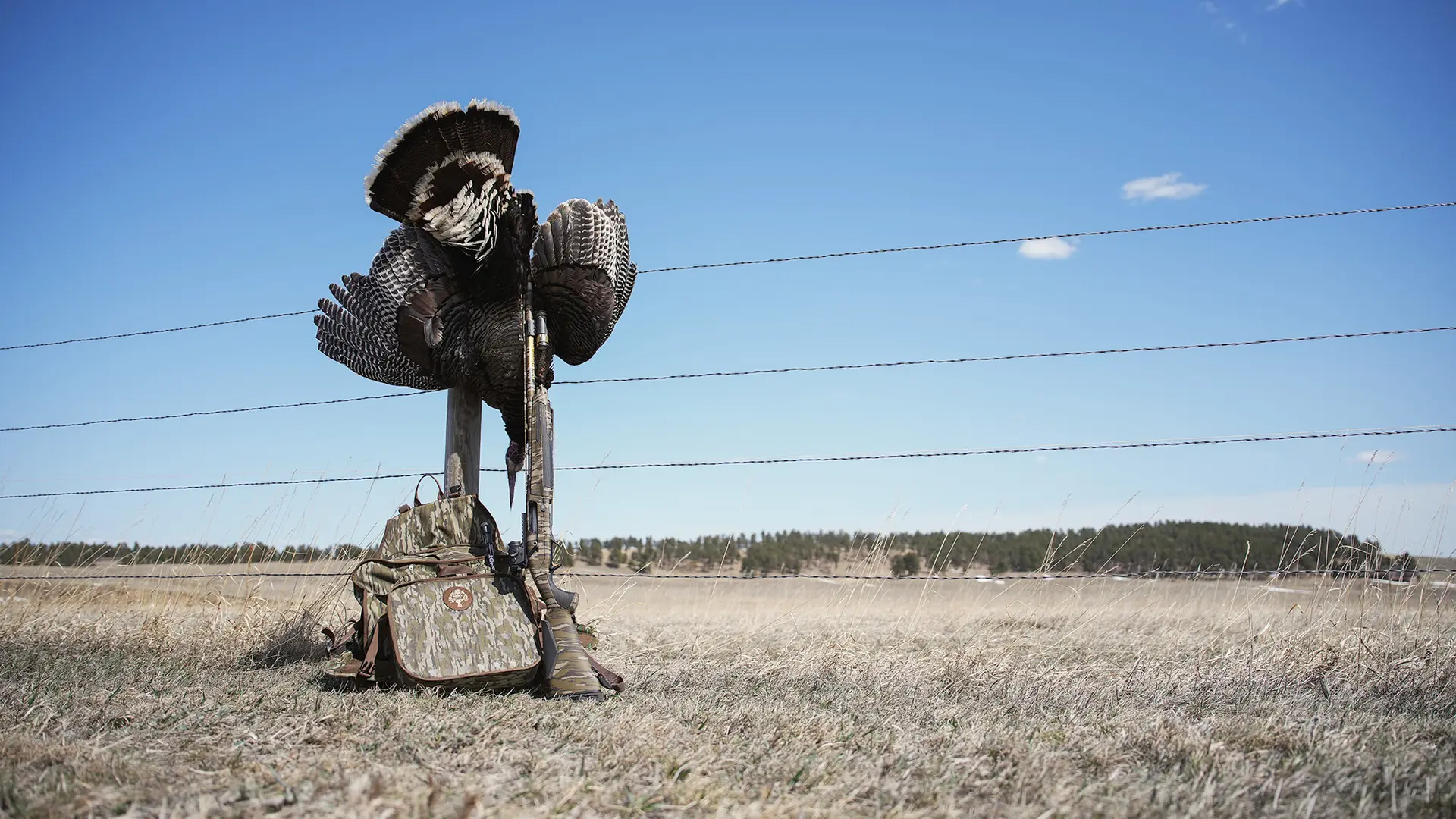 Browning Maxus II leaning on fence