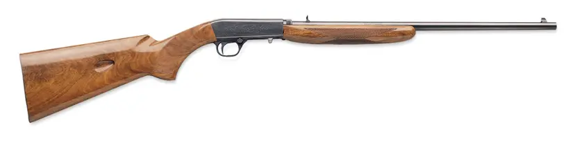 SA-22 semi-auto 22 rifle