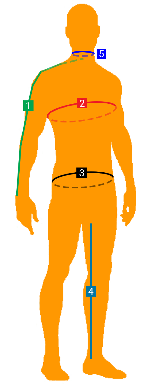 Diagram of measurements for various areas of the body.