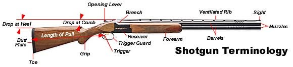 Proper fit diagram for shotgun stock